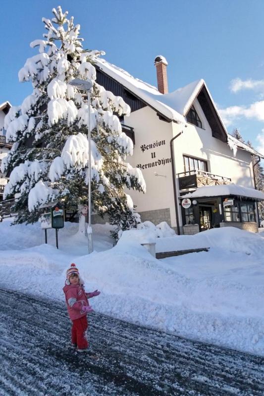 U Bernardyna Harrachov Exterior foto